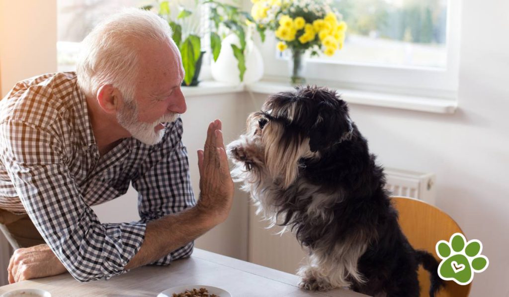 tener una mascota es benéfico para tu salud