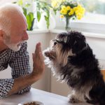 tener una mascota es benéfico para tu salud